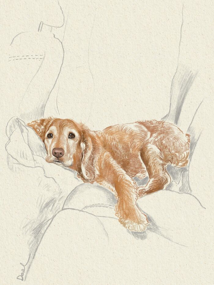 Wait, They Actually Drew These Dogs? (76 Pics Of Pure Pupper Magic)
