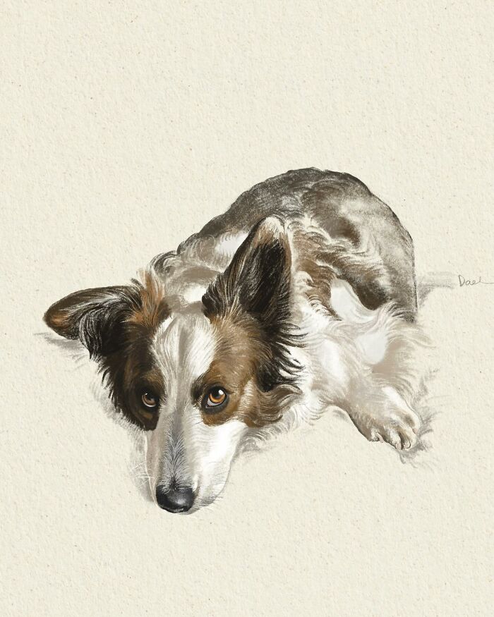Wait, They Actually Drew These Dogs? (76 Pics Of Pure Pupper Magic)
