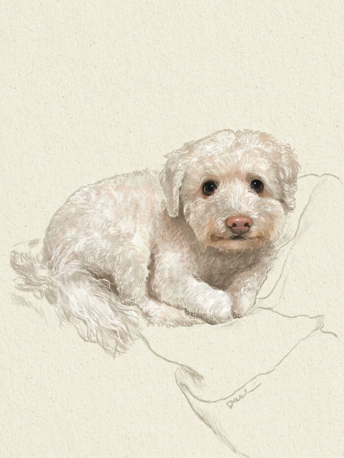 Wait, They Actually Drew These Dogs? (76 Pics Of Pure Pupper Magic)