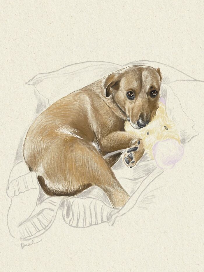 Wait, They Actually Drew These Dogs? (76 Pics Of Pure Pupper Magic)