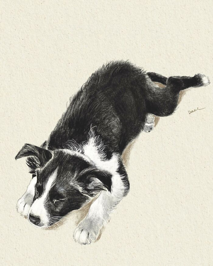 Wait, They Actually Drew These Dogs? (76 Pics Of Pure Pupper Magic)
