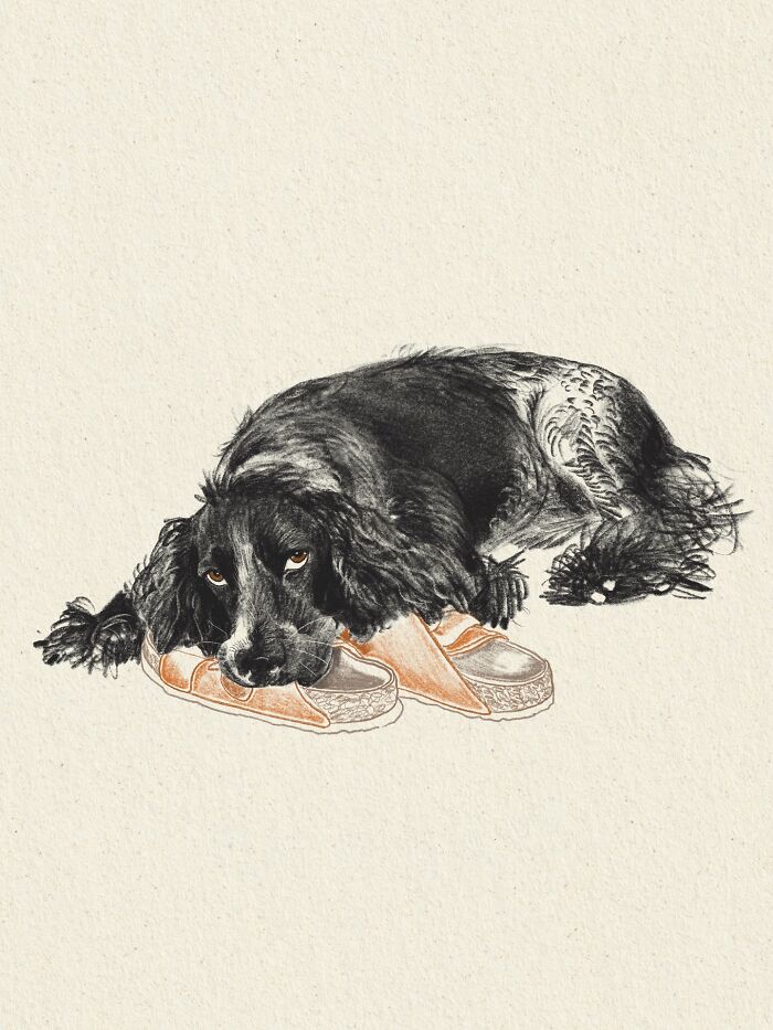 Wait, They Actually Drew These Dogs? (76 Pics Of Pure Pupper Magic)