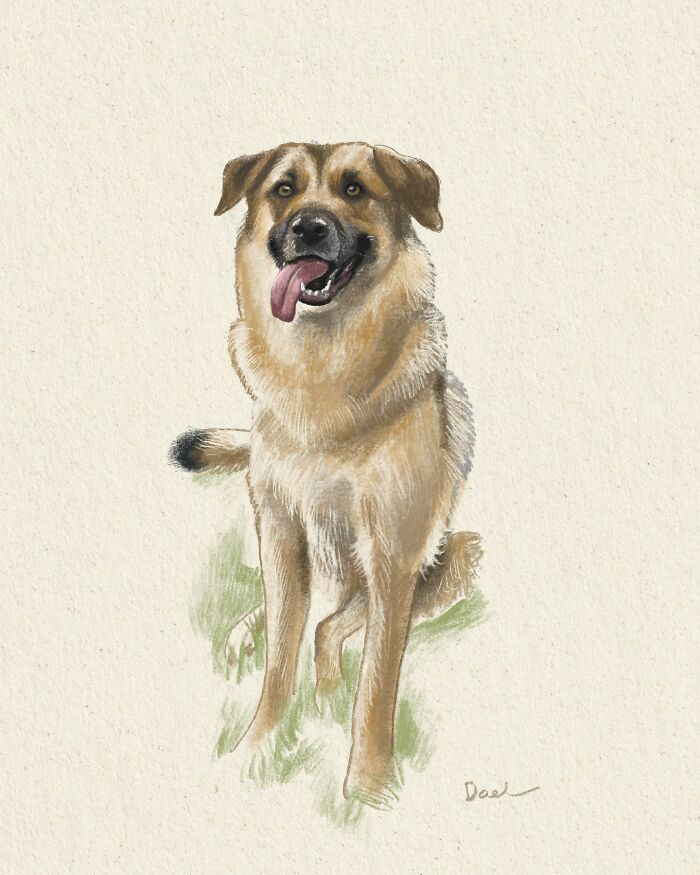 Wait, They Actually Drew These Dogs? (76 Pics Of Pure Pupper Magic)