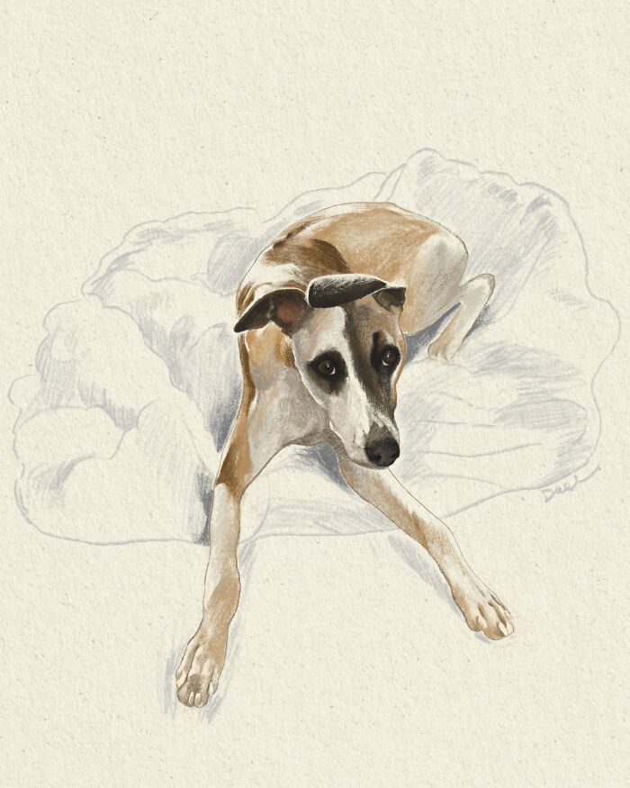 Wait, They Actually Drew These Dogs? (76 Pics Of Pure Pupper Magic)