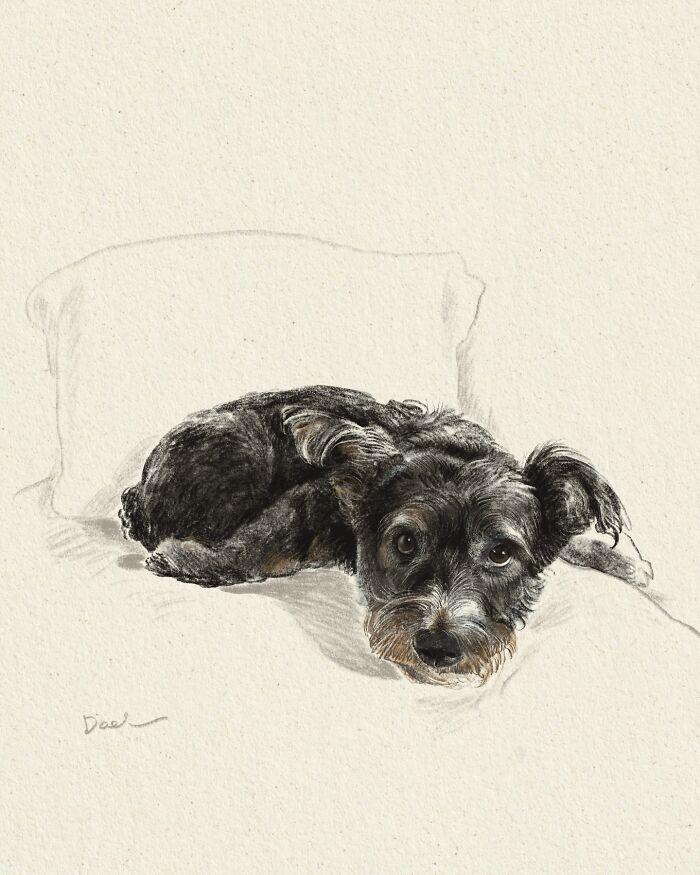 Wait, They Actually Drew These Dogs? (76 Pics Of Pure Pupper Magic)