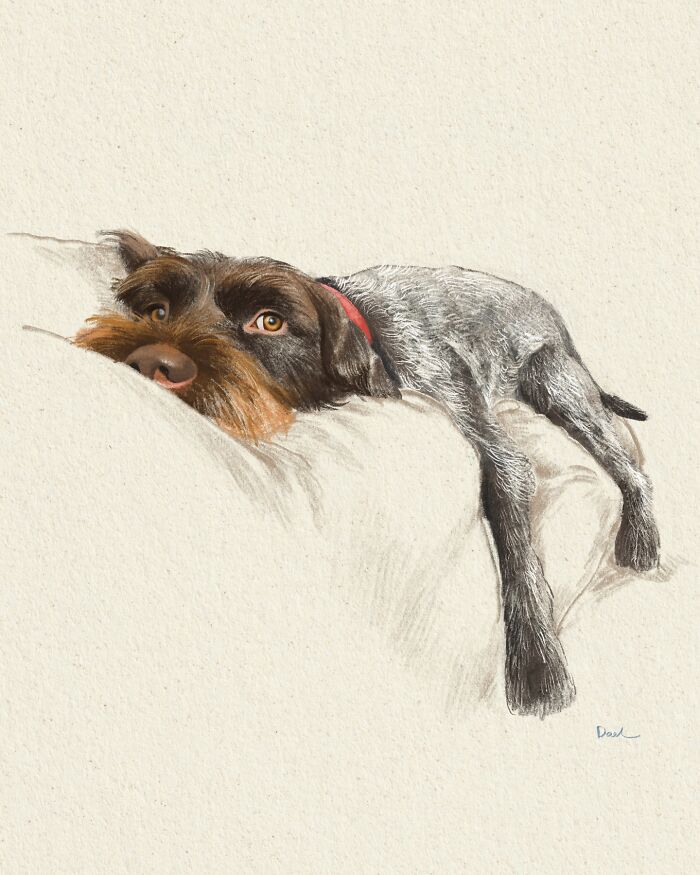 Wait, They Actually Drew These Dogs? (76 Pics Of Pure Pupper Magic)