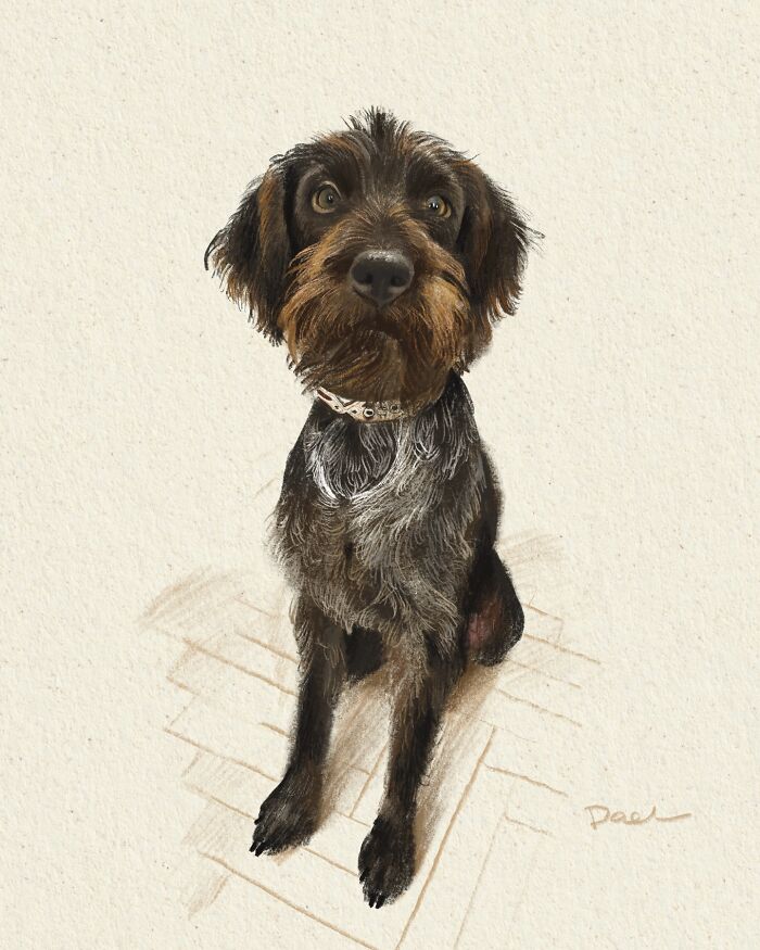 Wait, They Actually Drew These Dogs? (76 Pics Of Pure Pupper Magic)