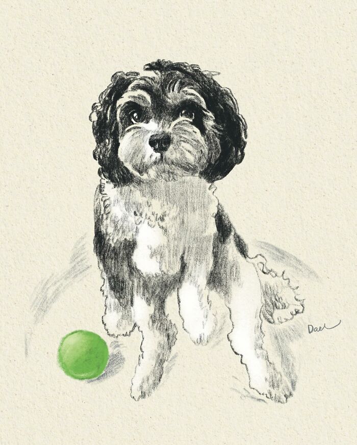 Wait, They Actually Drew These Dogs? (76 Pics Of Pure Pupper Magic)