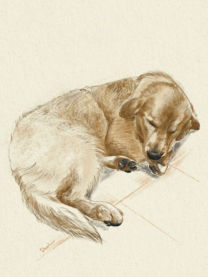 Wait, They Actually Drew These Dogs? (76 Pics Of Pure Pupper Magic)