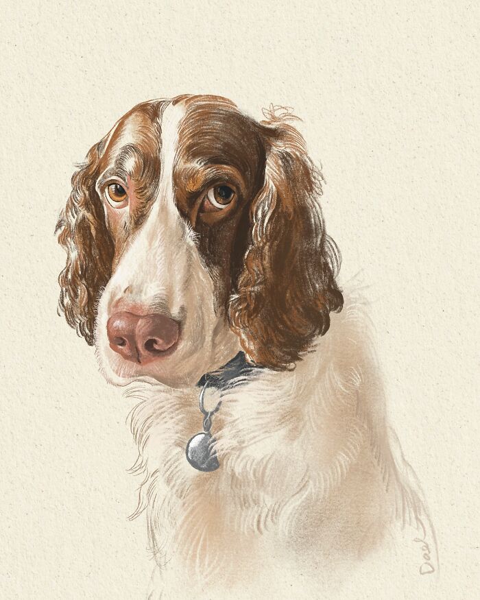 Wait, They Actually Drew These Dogs? (76 Pics Of Pure Pupper Magic)