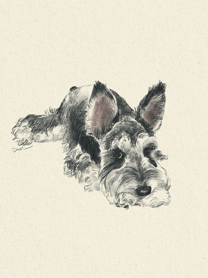Wait, They Actually Drew These Dogs? (76 Pics Of Pure Pupper Magic)