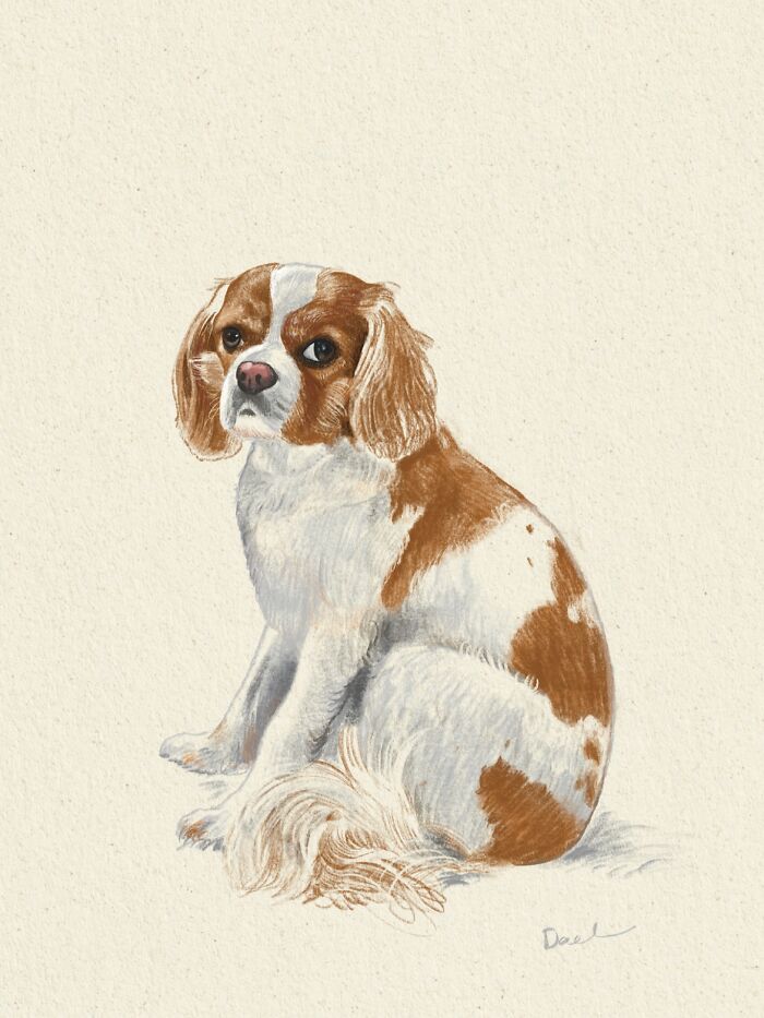 Wait, They Actually Drew These Dogs? (76 Pics Of Pure Pupper Magic)