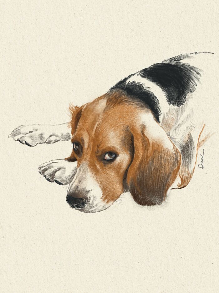 Wait, They Actually Drew These Dogs? (76 Pics Of Pure Pupper Magic)