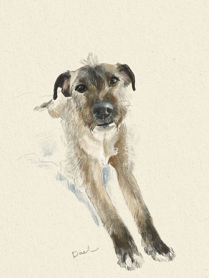 Wait, They Actually Drew These Dogs? (76 Pics Of Pure Pupper Magic)