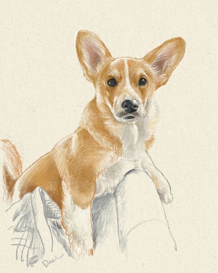 Wait, They Actually Drew These Dogs? (76 Pics Of Pure Pupper Magic)