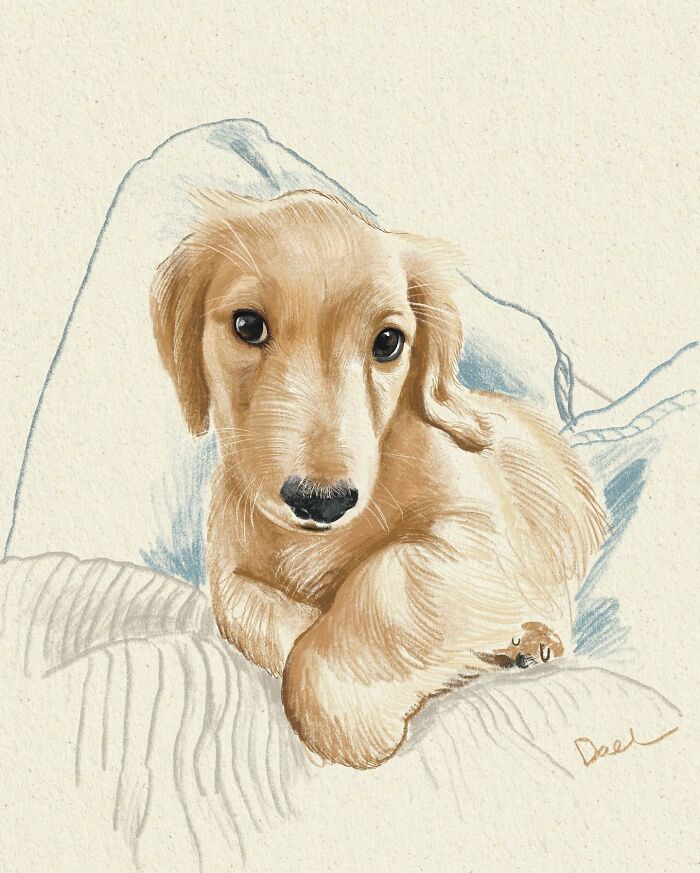 Wait, They Actually Drew These Dogs? (76 Pics Of Pure Pupper Magic)