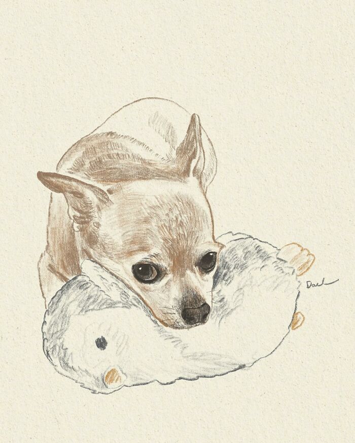 Wait, They Actually Drew These Dogs? (76 Pics Of Pure Pupper Magic)