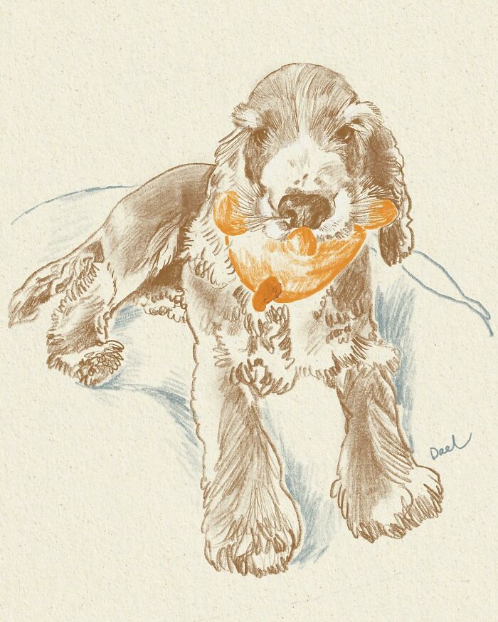 Wait, They Actually Drew These Dogs? (76 Pics Of Pure Pupper Magic)
