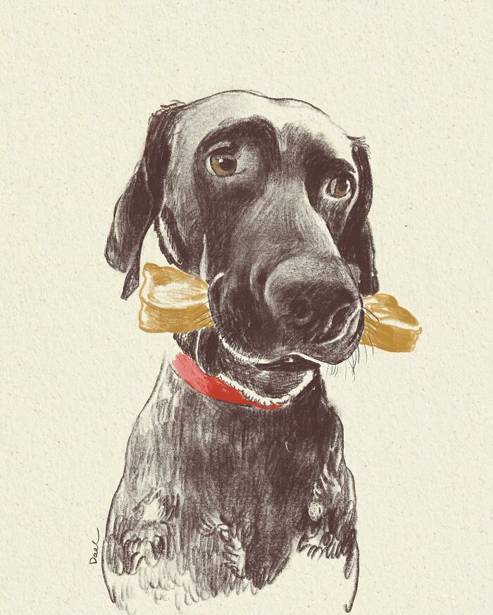 Wait, They Actually Drew These Dogs? (76 Pics Of Pure Pupper Magic)