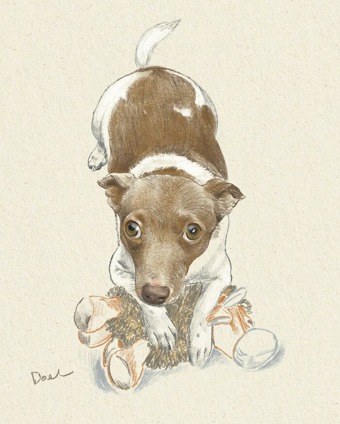 Wait, They Actually Drew These Dogs? (76 Pics Of Pure Pupper Magic)