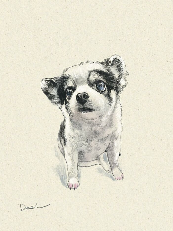 Wait, They Actually Drew These Dogs? (76 Pics Of Pure Pupper Magic)