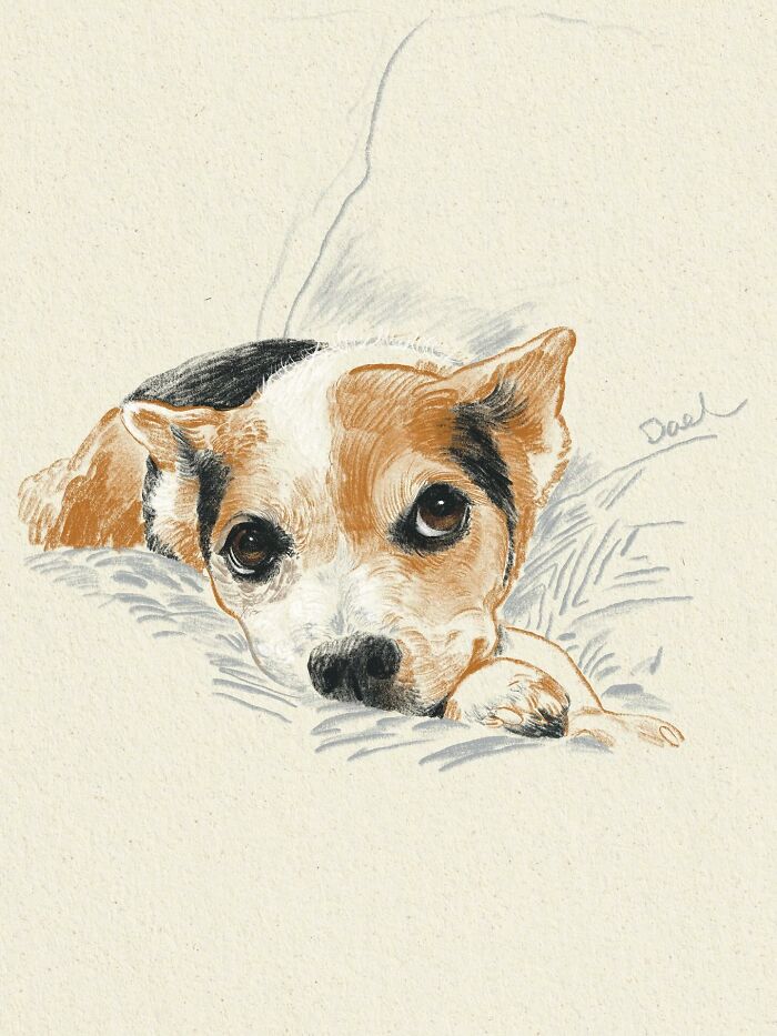 Wait, They Actually Drew These Dogs? (76 Pics Of Pure Pupper Magic)
