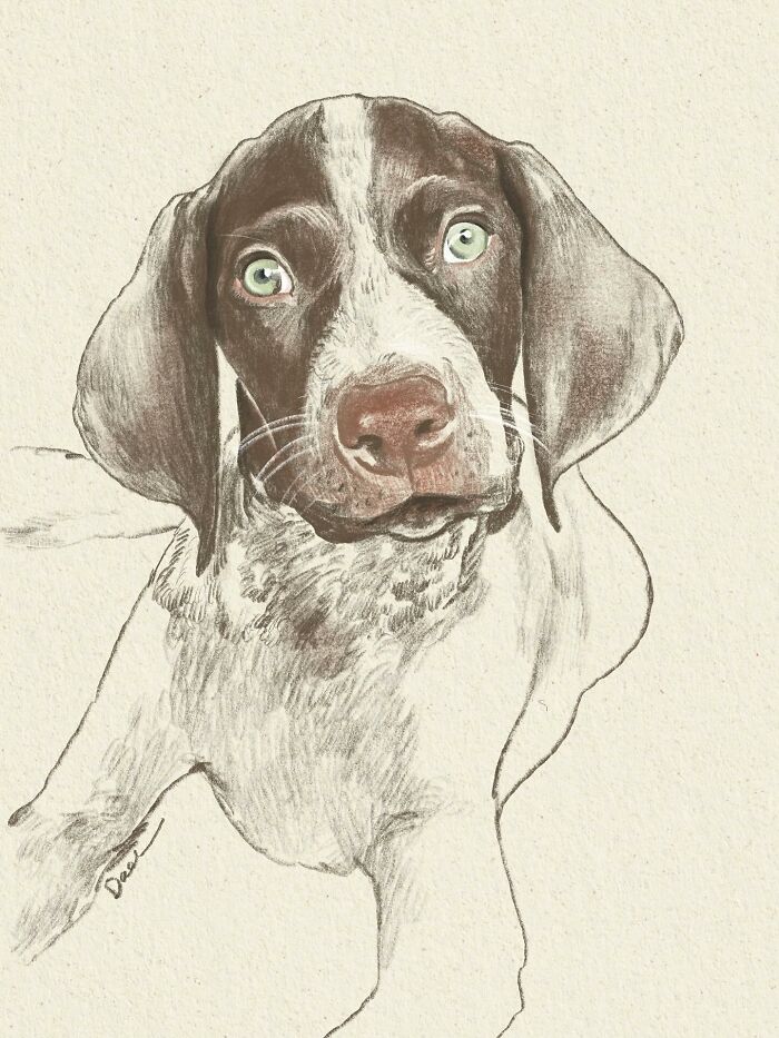 Wait, They Actually Drew These Dogs? (76 Pics Of Pure Pupper Magic)