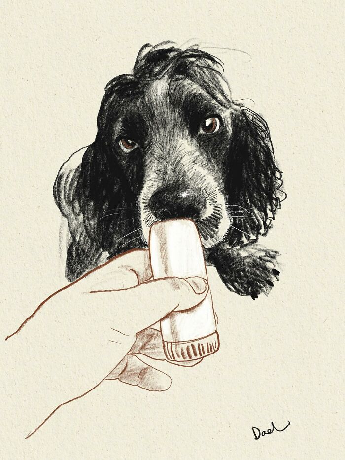 Wait, They Actually Drew These Dogs? (76 Pics Of Pure Pupper Magic)