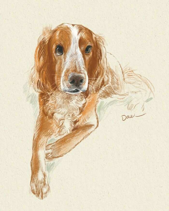 Wait, They Actually Drew These Dogs? (76 Pics Of Pure Pupper Magic)
