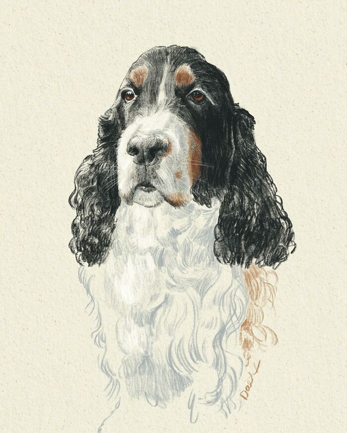 Wait, They Actually Drew These Dogs? (76 Pics Of Pure Pupper Magic)
