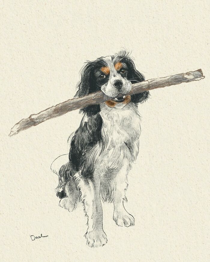 Wait, They Actually Drew These Dogs? (76 Pics Of Pure Pupper Magic)
