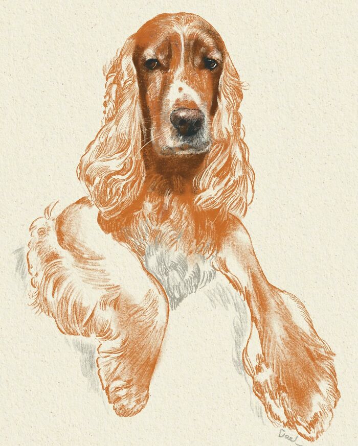 Wait, They Actually Drew These Dogs? (76 Pics Of Pure Pupper Magic)