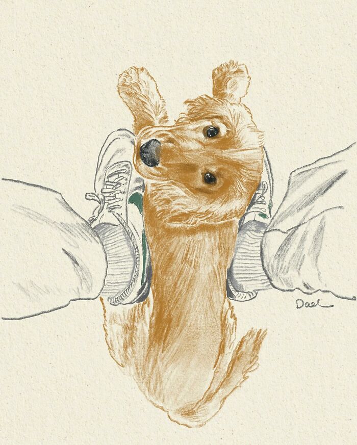Wait, They Actually Drew These Dogs? (76 Pics Of Pure Pupper Magic)