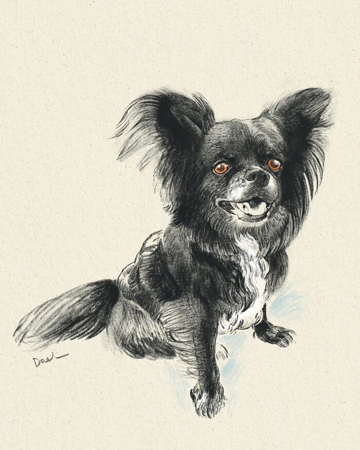 Wait, They Actually Drew These Dogs? (76 Pics Of Pure Pupper Magic)