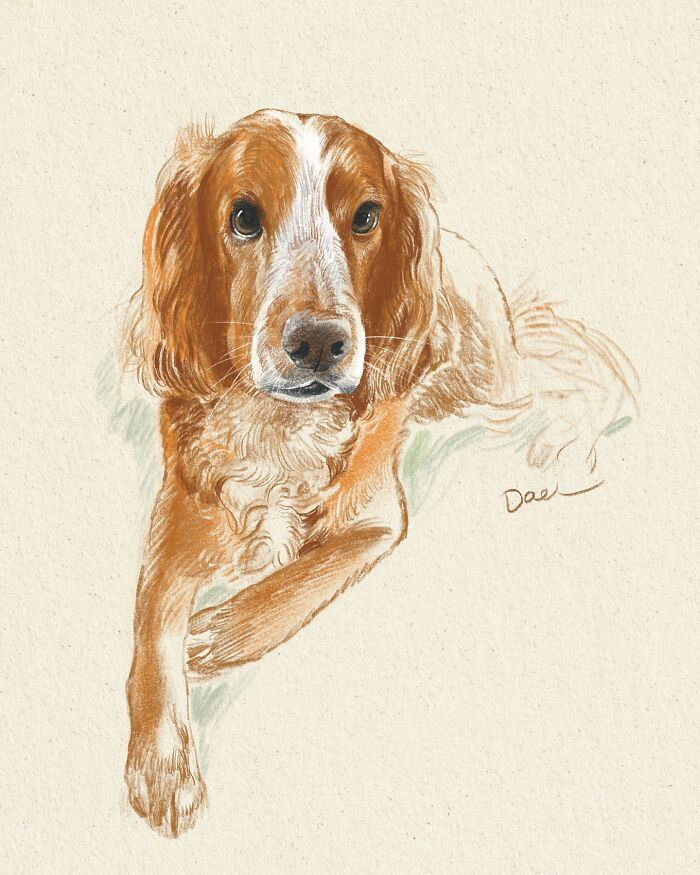Wait, They Actually Drew These Dogs? (76 Pics Of Pure Pupper Magic)