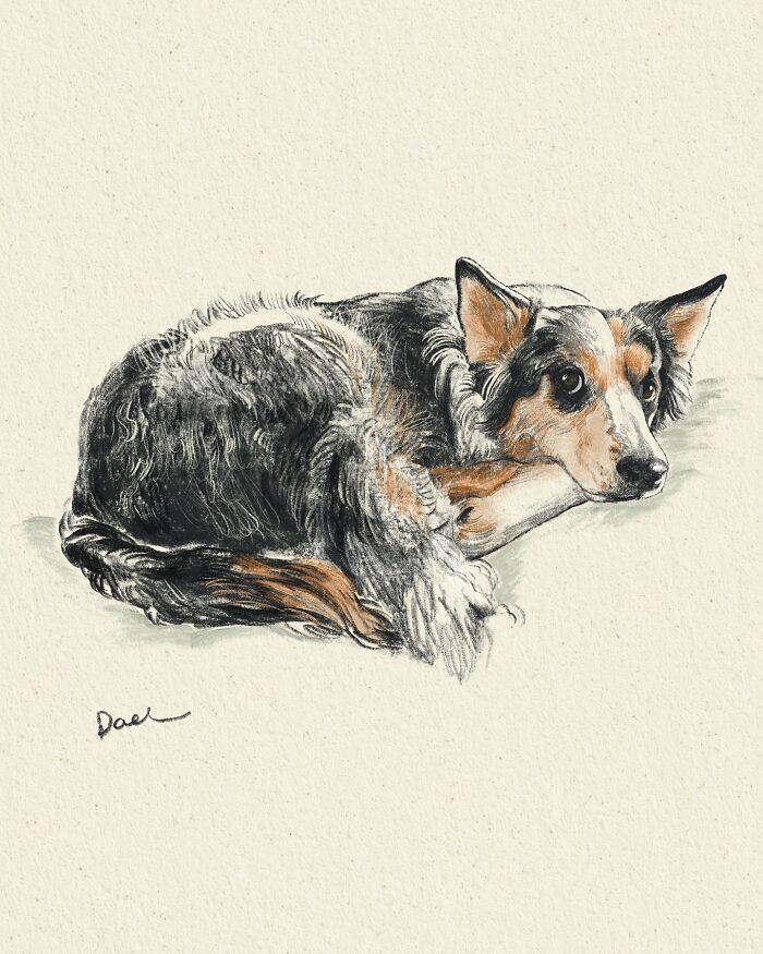 Wait, They Actually Drew These Dogs? (76 Pics Of Pure Pupper Magic)
