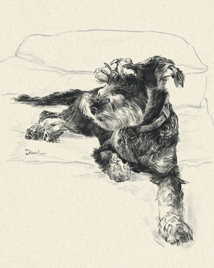 Wait, They Actually Drew These Dogs? (76 Pics Of Pure Pupper Magic)