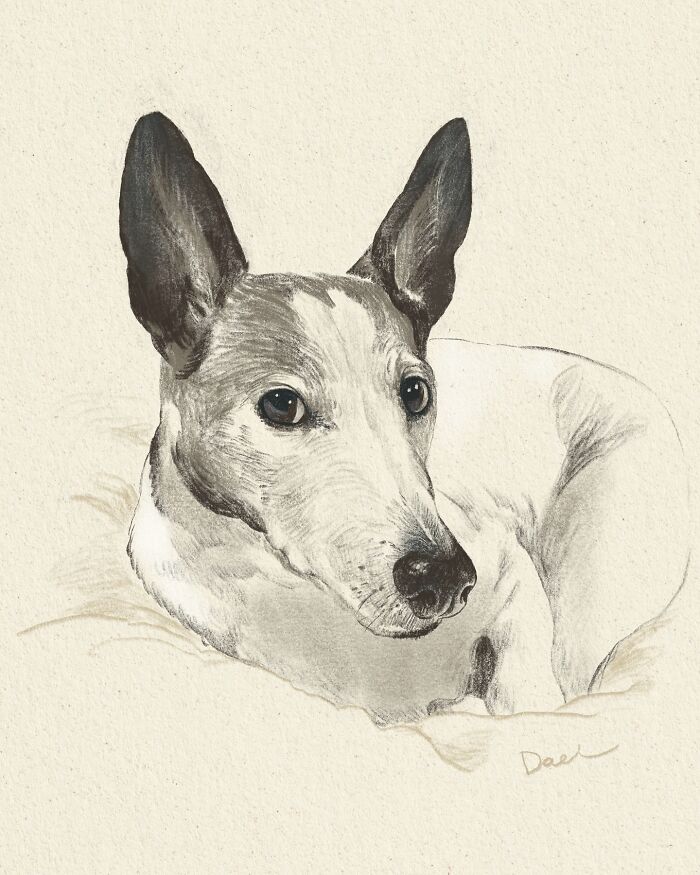Wait, They Actually Drew These Dogs? (76 Pics Of Pure Pupper Magic)