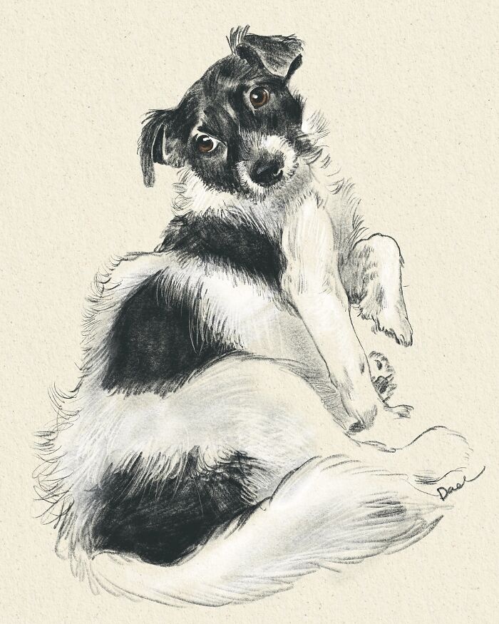 Wait, They Actually Drew These Dogs? (76 Pics Of Pure Pupper Magic)