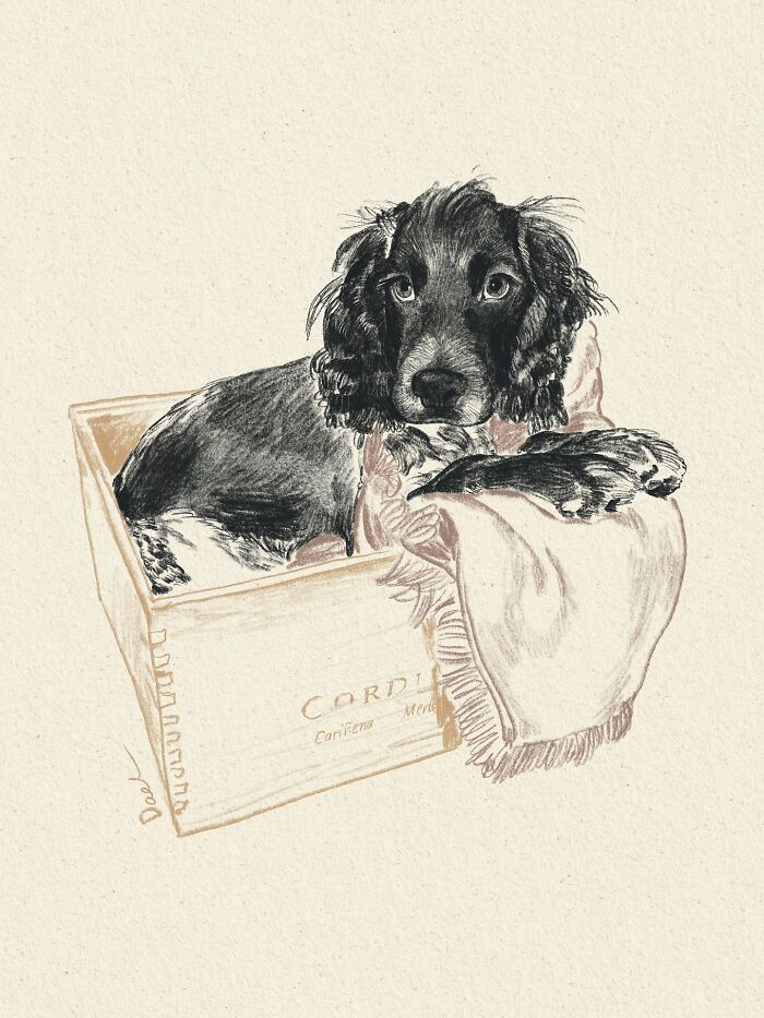 Wait, They Actually Drew These Dogs? (76 Pics Of Pure Pupper Magic)