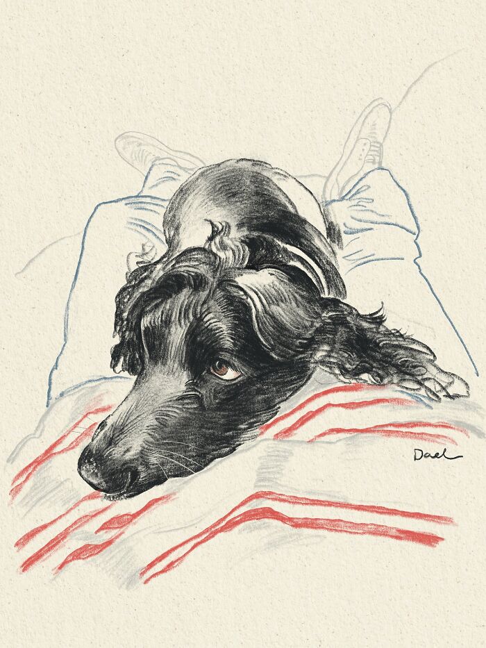 Wait, They Actually Drew These Dogs? (76 Pics Of Pure Pupper Magic)