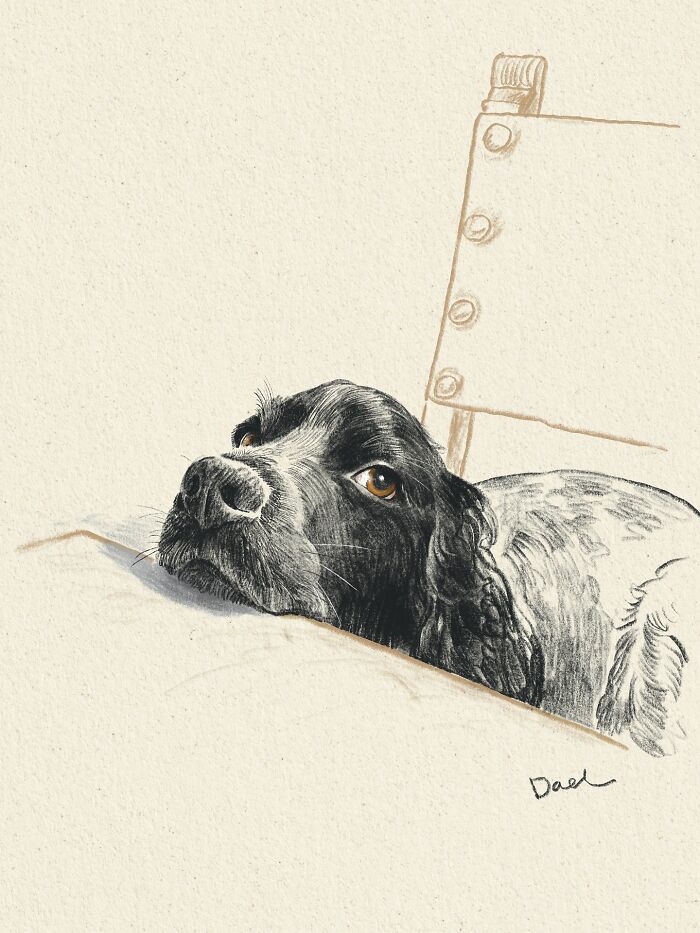 Wait, They Actually Drew These Dogs? (76 Pics Of Pure Pupper Magic)