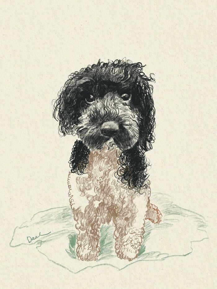 Wait, They Actually Drew These Dogs? (76 Pics Of Pure Pupper Magic)