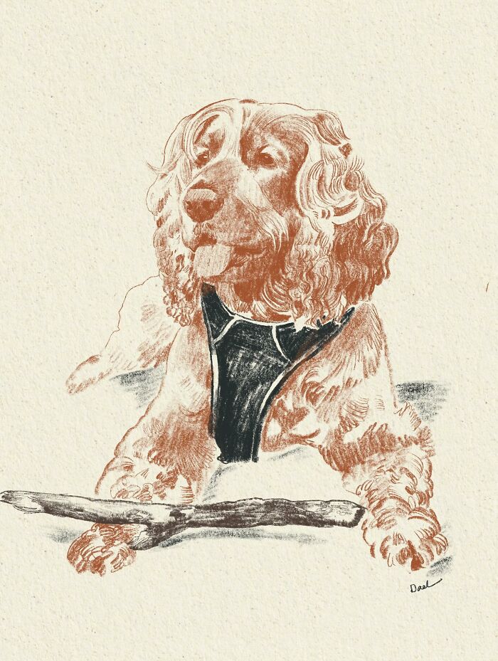 Wait, They Actually Drew These Dogs? (76 Pics Of Pure Pupper Magic)