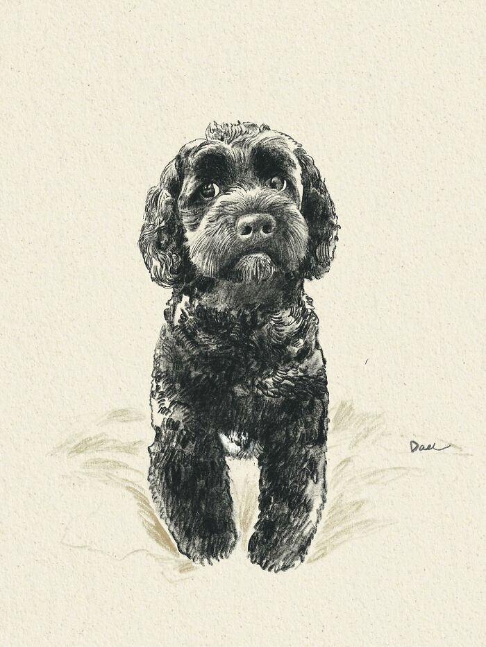 Wait, They Actually Drew These Dogs? (76 Pics Of Pure Pupper Magic)
