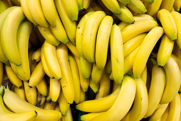 Wait, People Actually Store These Weird Facts in Their Brains?