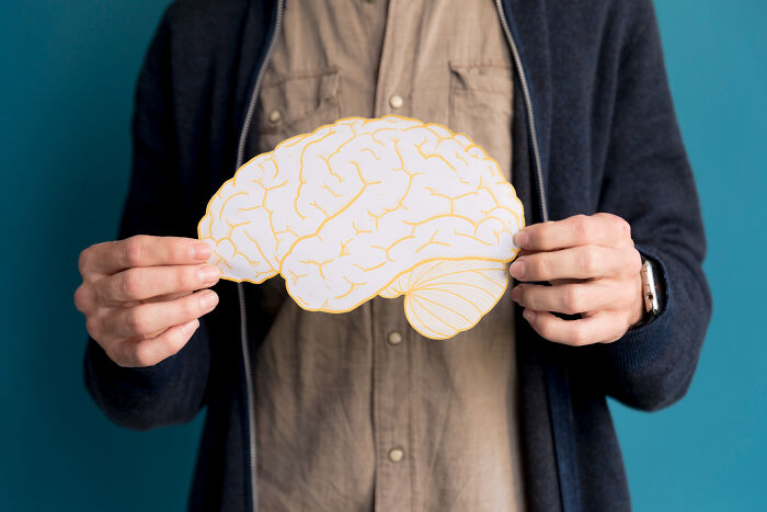 Wait, People Actually Store These Weird Facts in Their Brains?