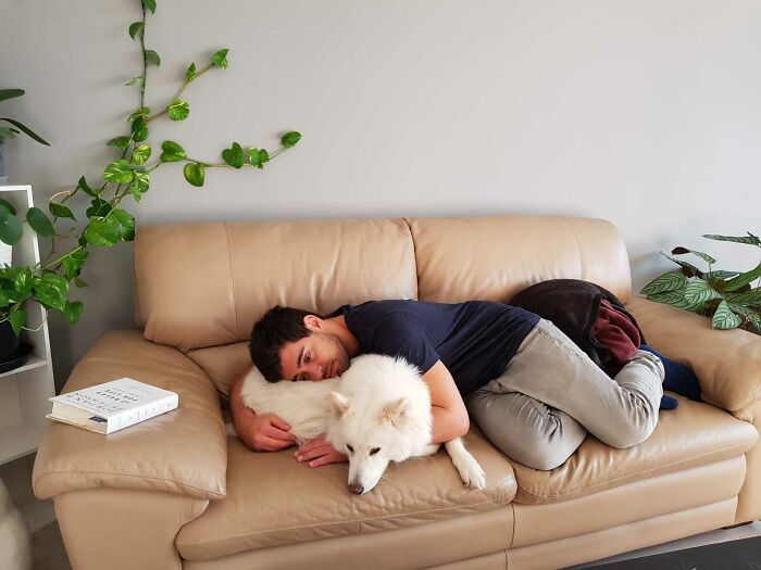 My Boyfriend Met Dog Life For The First Time Thanks To Me!