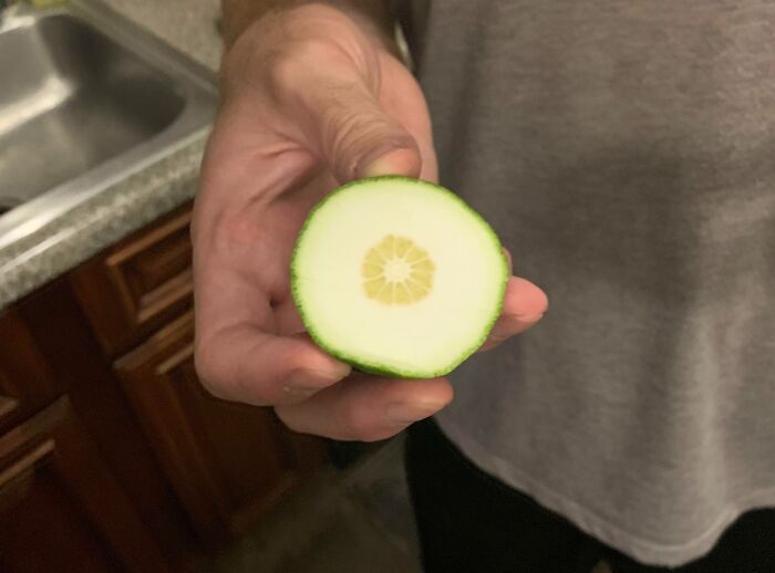Okay, You’ve Gotta See These Epic First-Time Fails And Wins!
