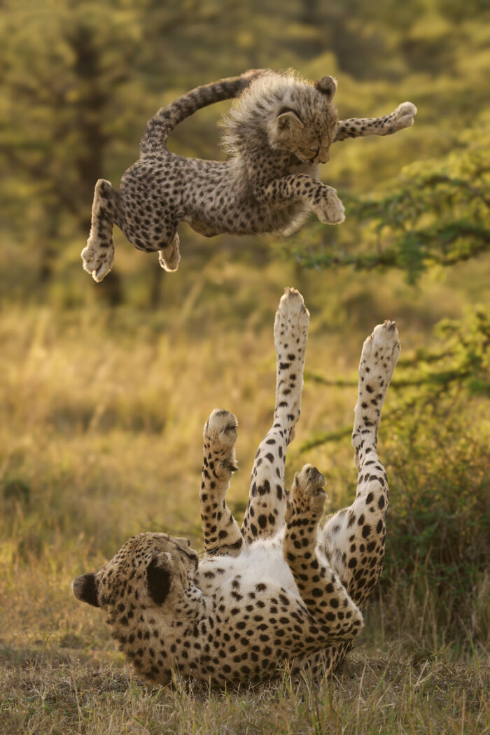 "Catch Me Mom!" By Jim Guerard